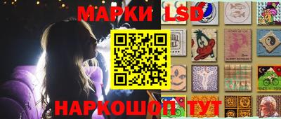 индика Новокубанск